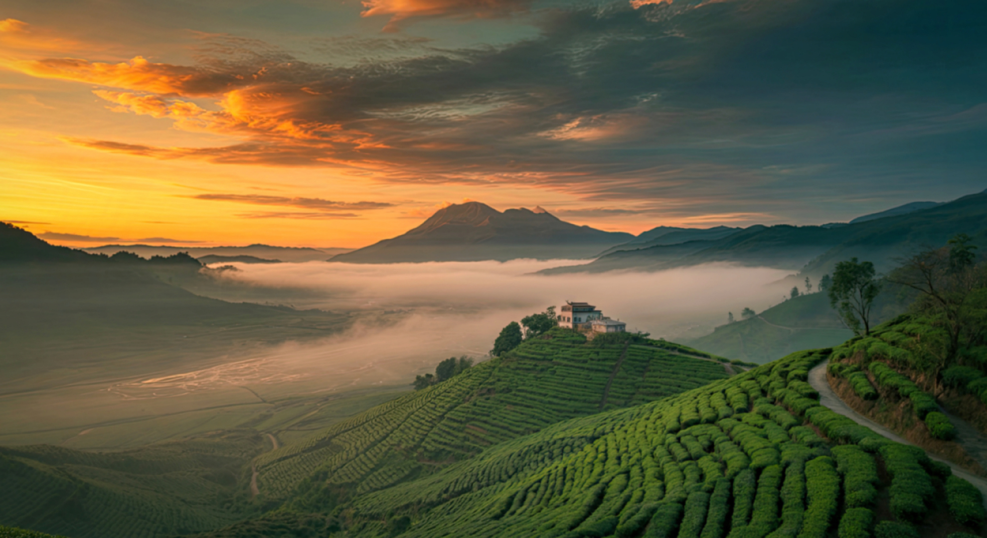 Landscape Indonesia