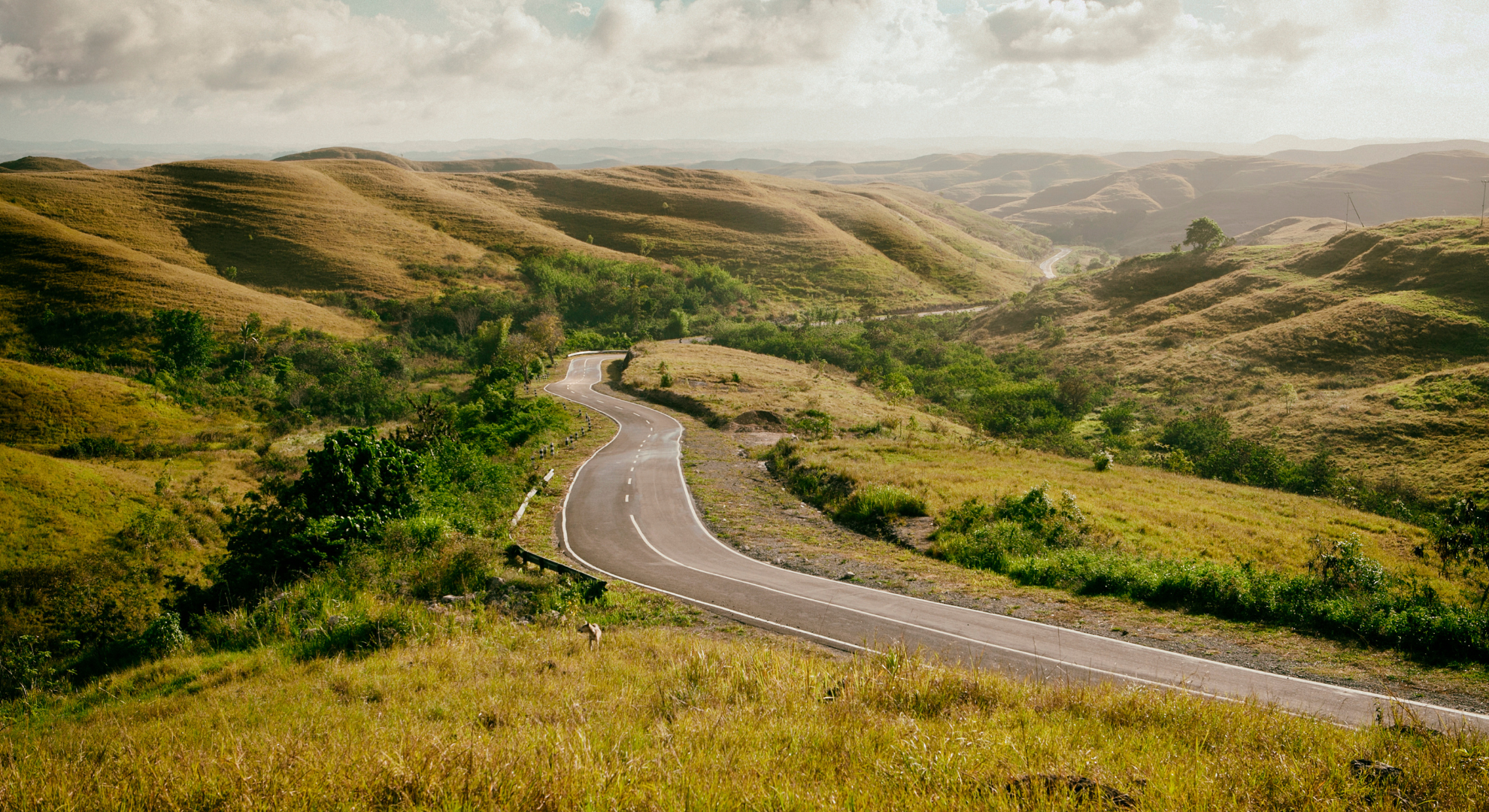 Philosophy Background