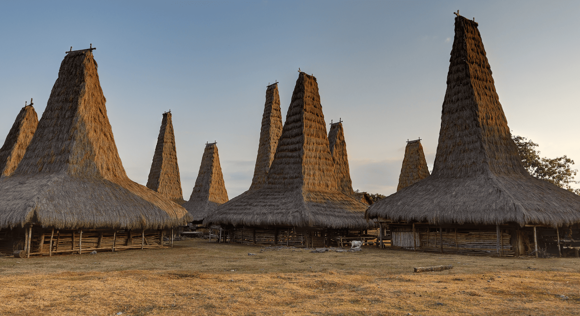 Corporate Transactions & Advisory